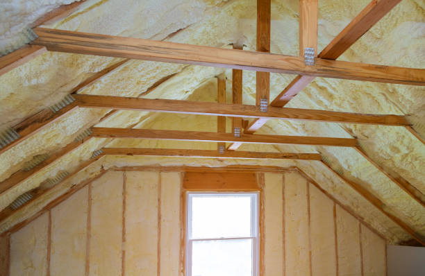 Best Blown-in Insulation in East Cleveland, TN