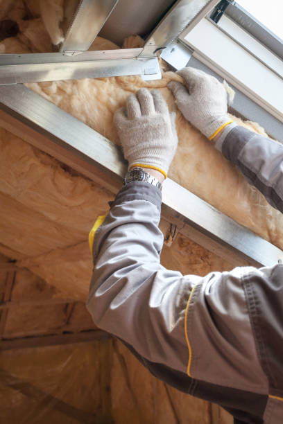 Best Specialized Insulation Services in East Cleveland, TN