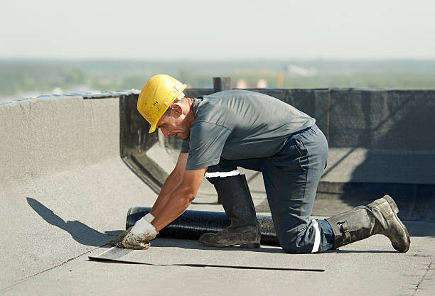 Best Insulation Maintenance and Repair in East Cleveland, TN