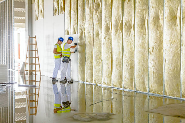Trusted East Cleveland, TN Insulation Contractor Experts